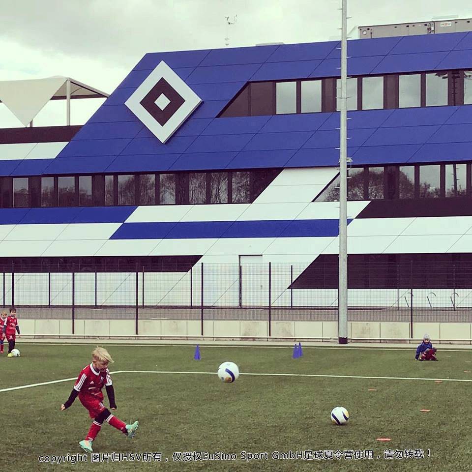 汉堡HSV全力以赴赢得关键比赛 汉堡HSV全力以赴赢得关键比赛